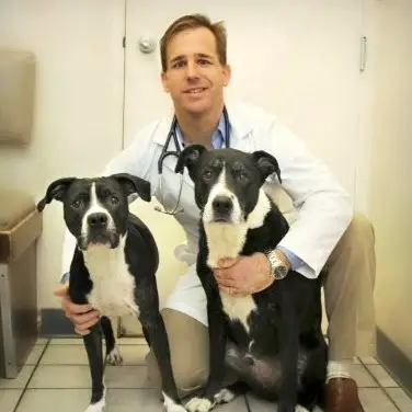 Dr. Travis McDermott from Durango Animal Hospital