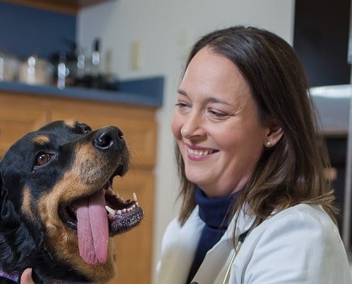 Dr. Sarah Wooten, DVM, CVJ from Westridge Animal Hospital