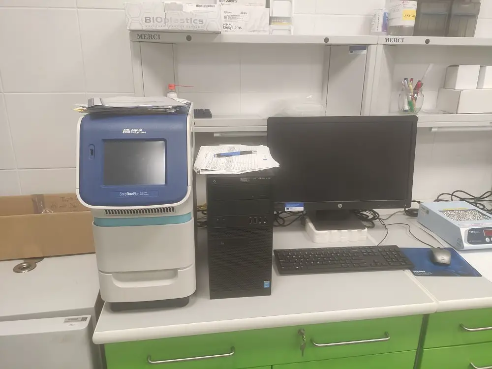 A real-time PCR machine StepOne Plus