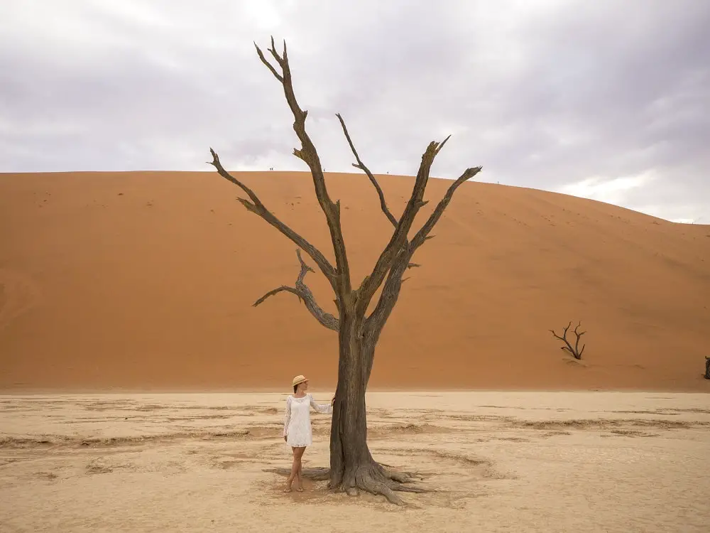 Deadvlei, Namibia