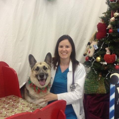 Dr. Caren Carney from Holiday Vet