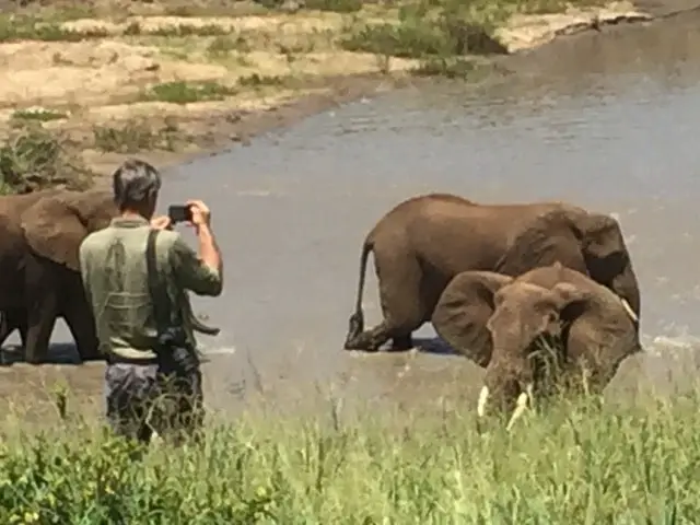 Taking photos of his beloved elephants in Tarangire National Park, Tanzania