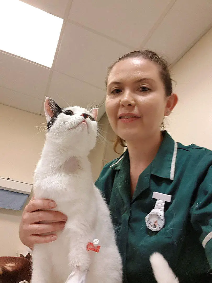 Day In The Life Of Vet Nurse Lucie Wilkins Find A
