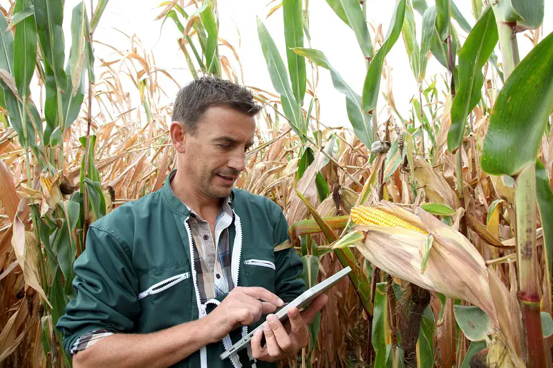 Agricultural Graders