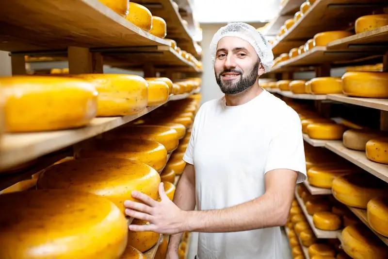 What Does A Cheese Maker Do (including Their Typical Day at Work)