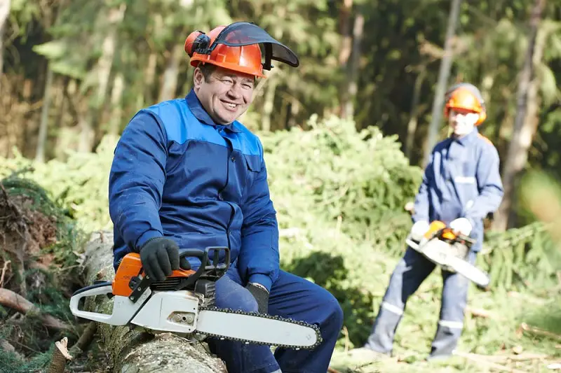 Supervisors of Logging Workers