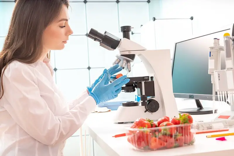 How To Become a Food Science Technician (A Step by Step Guide)