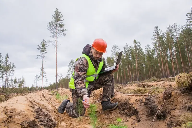 Forest and Conservation Technicians