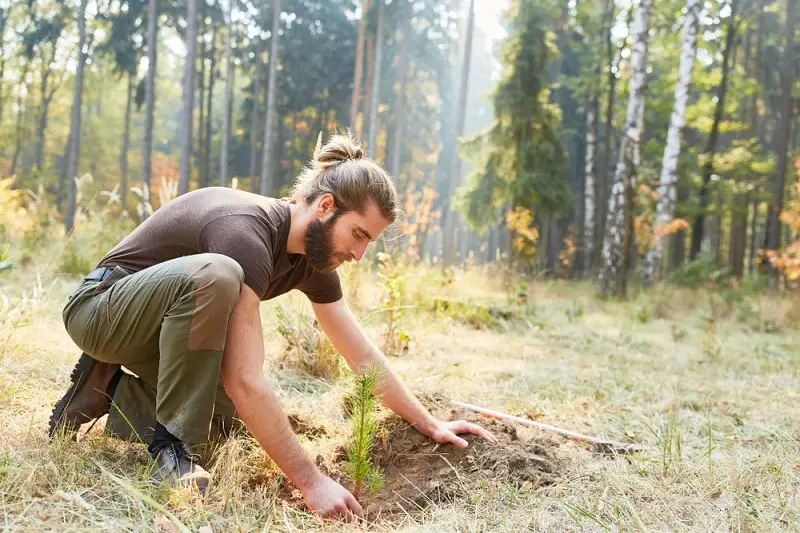 Forest and Conservation Workers