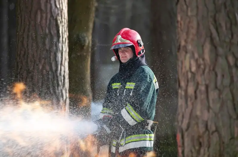 Forest Firefighters