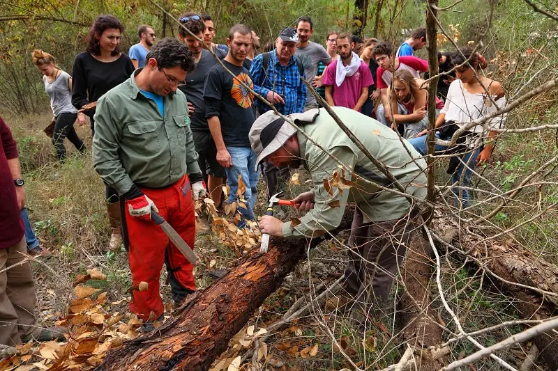 Forestry and Conservation Professors