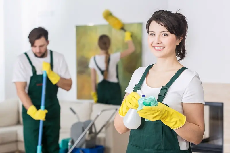 Maid Cleaning