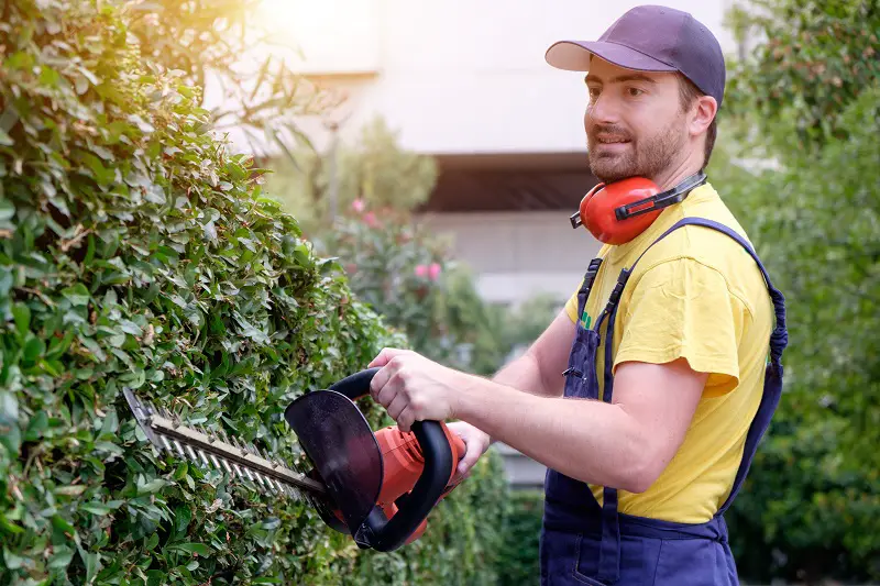 Landscaping and Groundskeeping Workers