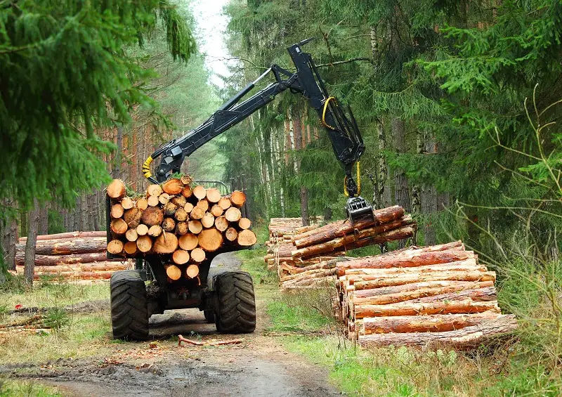 Logging Equipment Operators