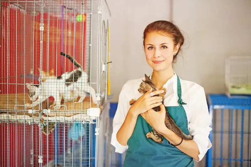 Animal Caretakers